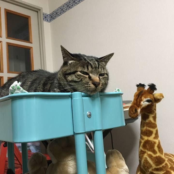 Aa994809 18b1 4645 8b1a 3b3bda8abc61