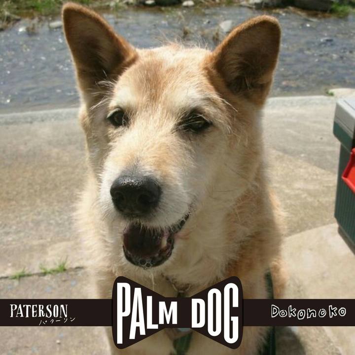 Aa99795c 336c 40bc a022 20fc7d4ba1ce