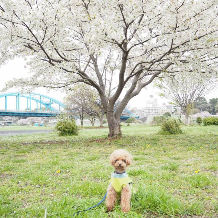 Aa99b59a 637d 49a9 8c05 649d66cfe899