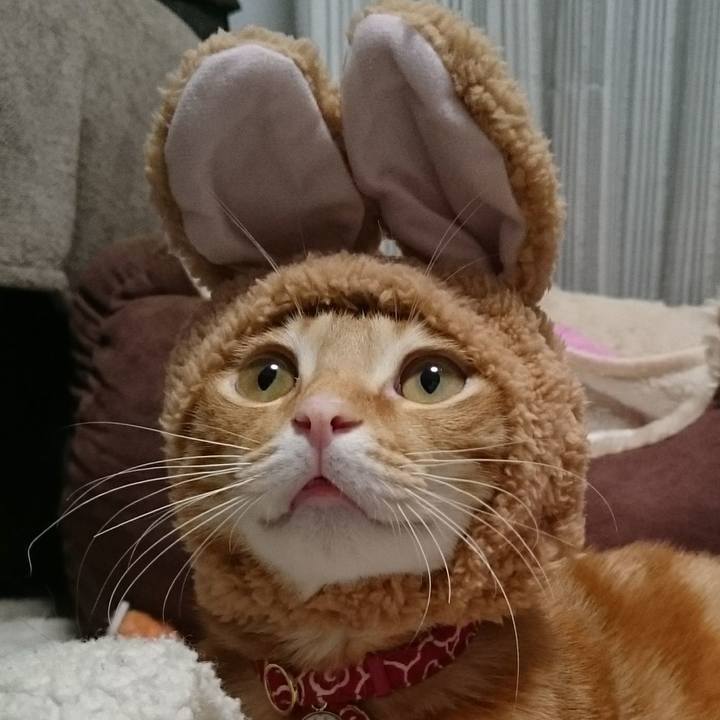 Aa99c0b3 4c48 42bc 829d 75bf3736d227