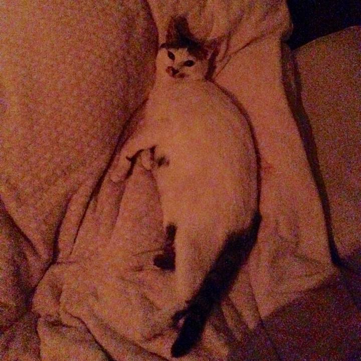 Aa9a0cf1 7fcc 4ce6 9fbc 77e5bff82fd2