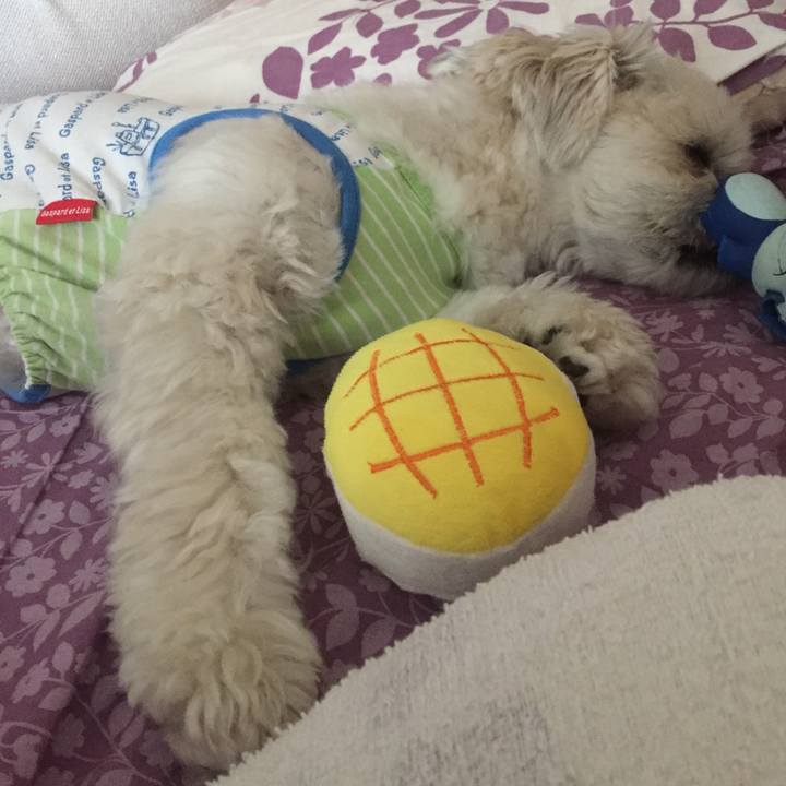 Aa9a6fcc 9046 49e4 aca8 c6d45902eaa9