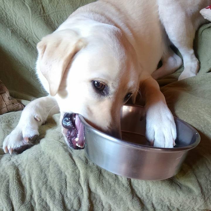 Aa9ac9d8 be29 44e4 8683 bf4aacd5cf24