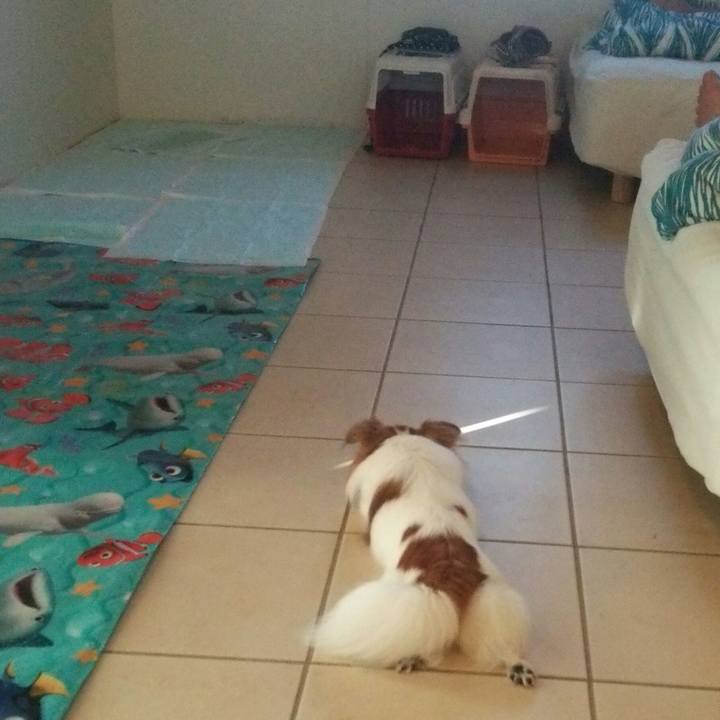 Aa9add38 9686 485b 8e04 bc911652b79c