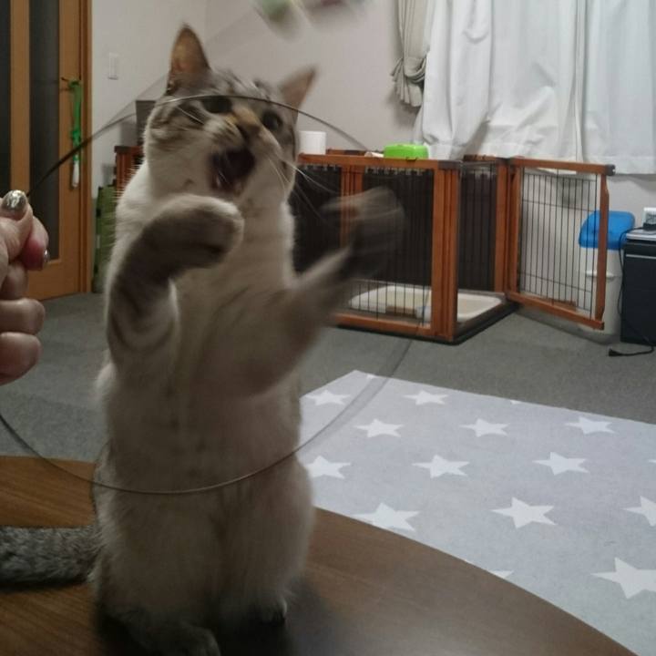 Aa9aeffa 1f1a 47c4 9d59 97620a786df0