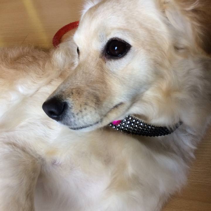 Aa9bc6ec 4dde 4857 8570 a64da76bb2b4