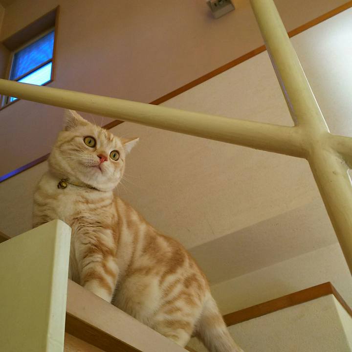 Aa9c146a f96c 4617 b7a3 eda3487598f0