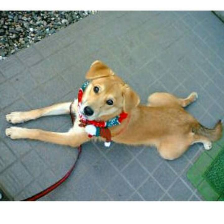 Aa9c4a3a 524b 45ba b65c ba5eec5ff335