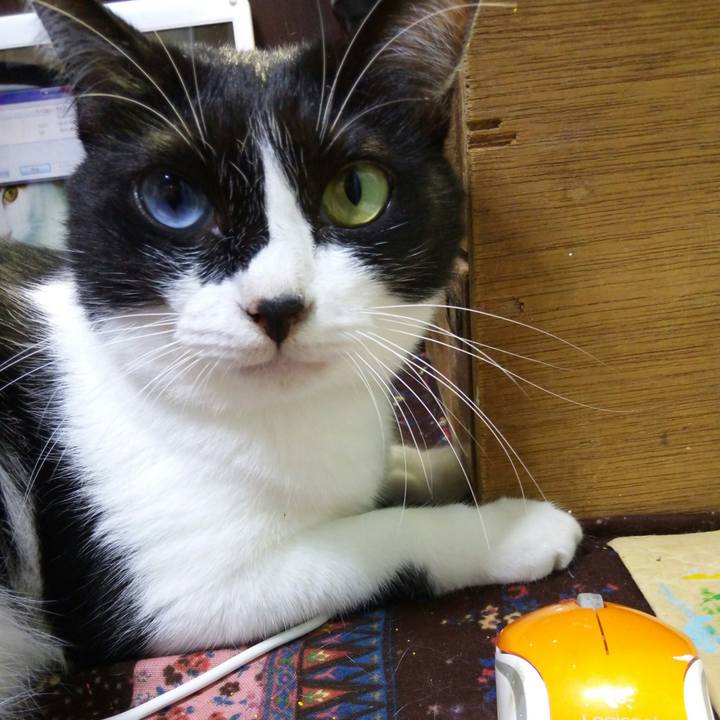 Aa9c7803 895b 457e b28a cb815f801bc5