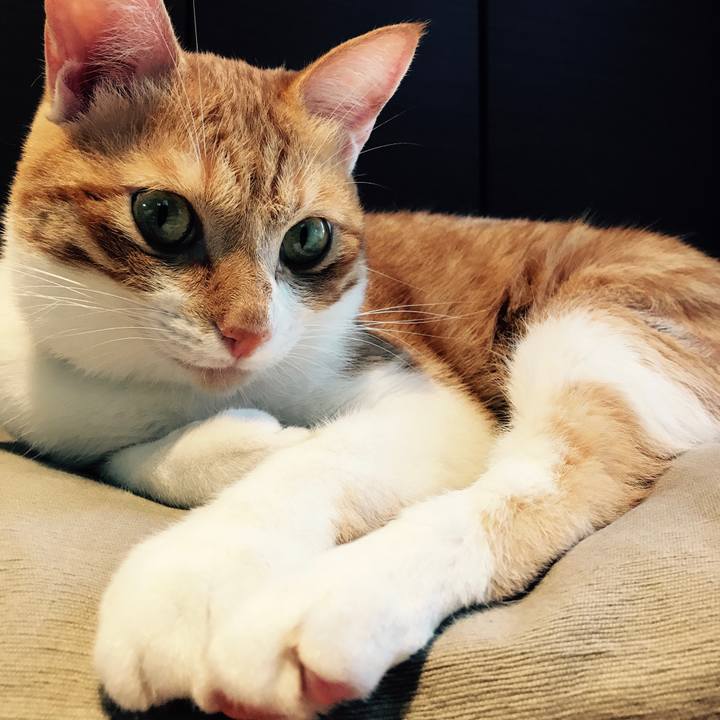 Aa9c8ef6 84e7 4e0f 96c9 e81ec75ba1be