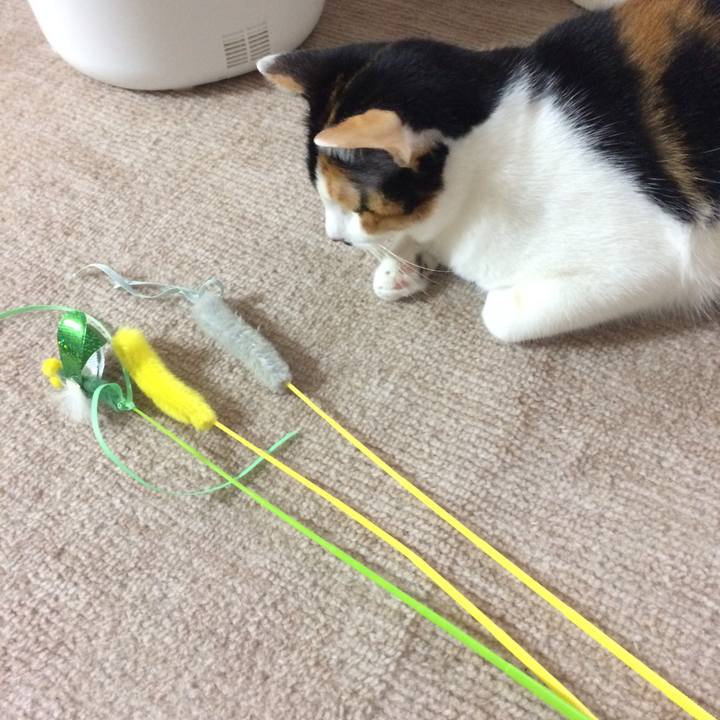 Aa9d4670 4e96 4f1f aab9 80f274cf54fa