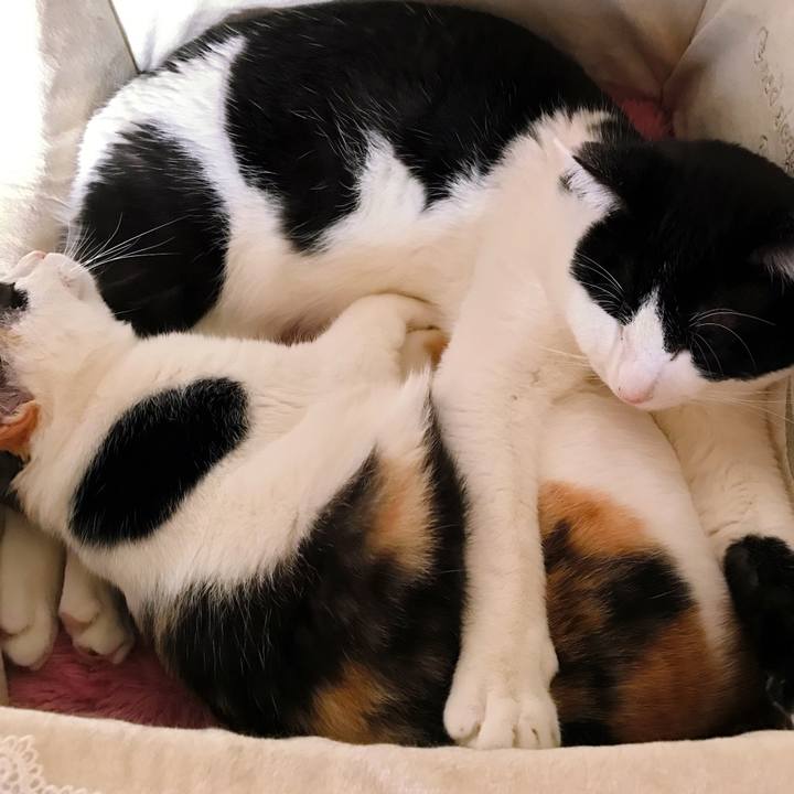 Aa9d5a6a 1dd7 4a8b 9054 eadc6312984c