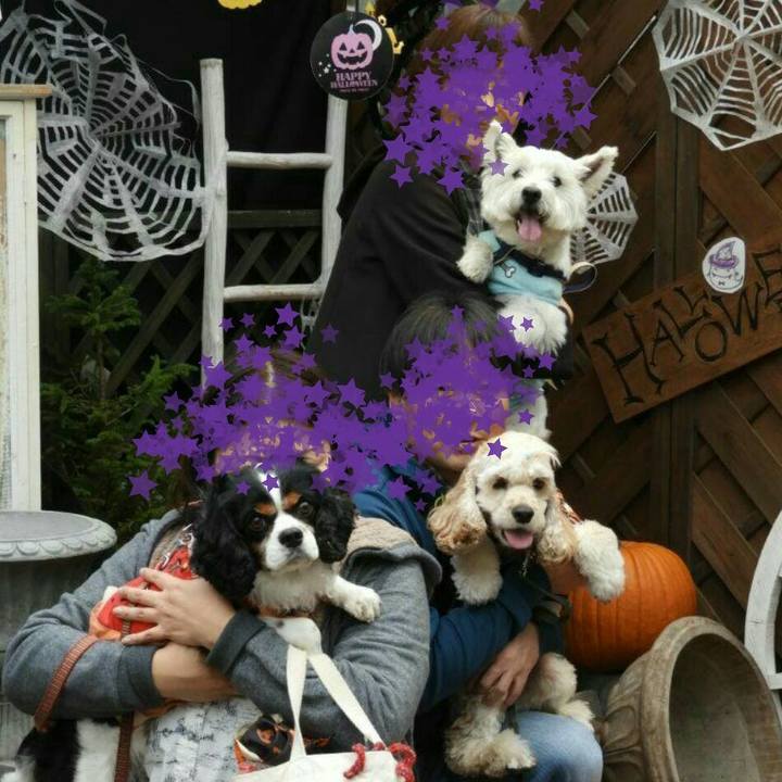 Aa9d8439 4ca4 48dc a317 0e435e27c0f8