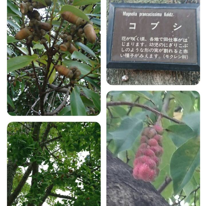 Aa9de30d a9bc 46d0 bced 9f6745b8dacd