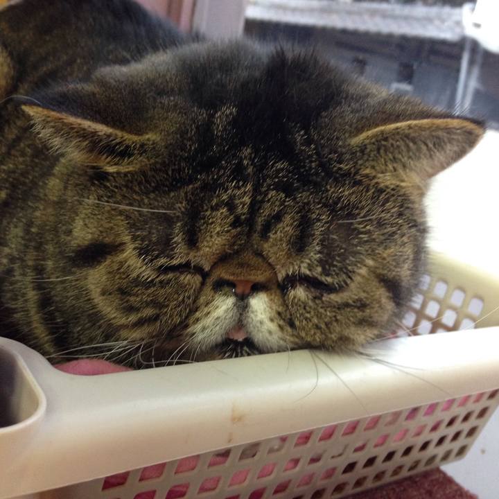 Aa9dfd69 65c0 4bb4 91e0 68b23c6ec01d