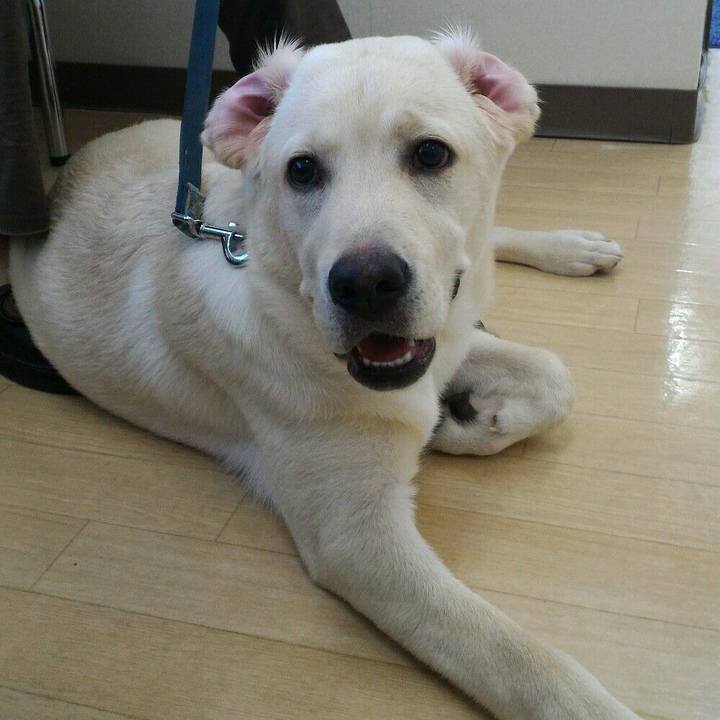 Aa9e76bb 35e2 4e1d b37a d661ca58fbfd