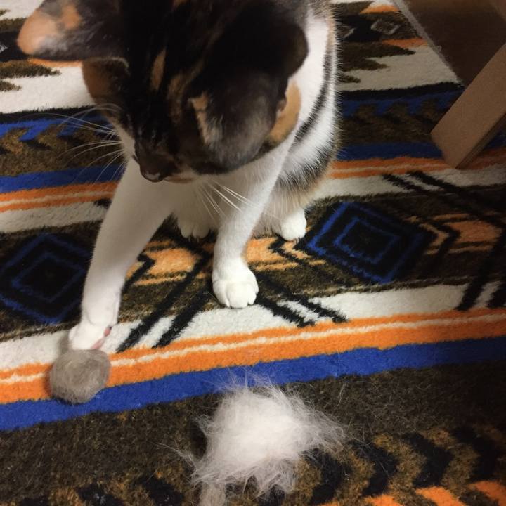 Aa9ea962 f4c2 47ae beff 6aff5d66a4a4