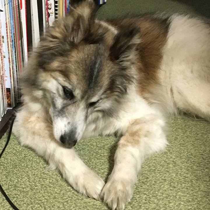 Aa9eb7b3 d875 4b8f aaee d8a6a2dd9463