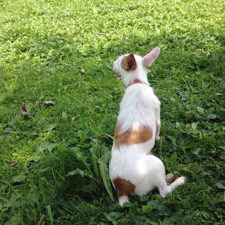 Aa9ef98b 8deb 447c ab6f 31ed21fb01ba