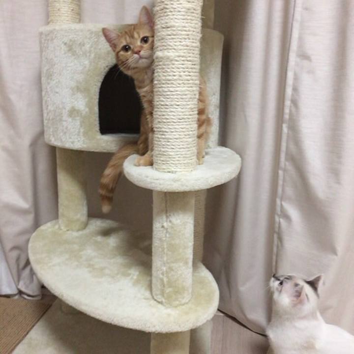 Aaa015e1 b9d2 4475 88b8 c53af085676e