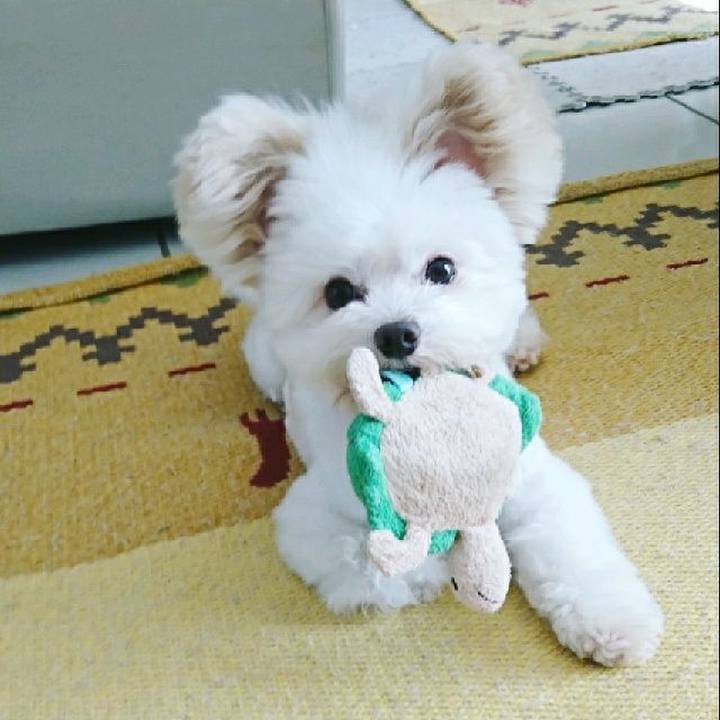 Aaa05847 3333 4634 9a03 ddbf6cf87e7b