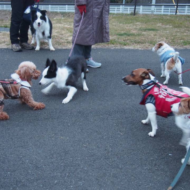 Aaa130a6 096f 4583 8a46 ee932691db01