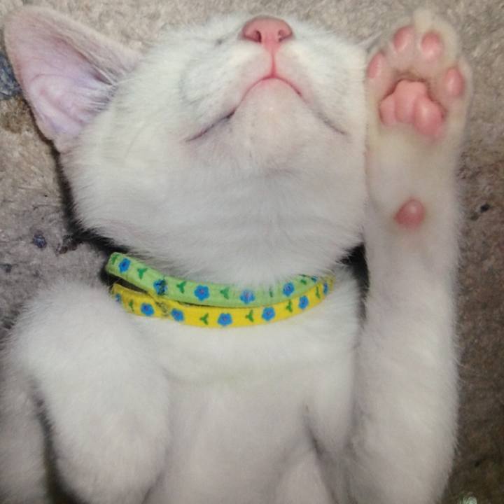 Aaa185d0 5406 4727 a3b9 ea9d763b6012