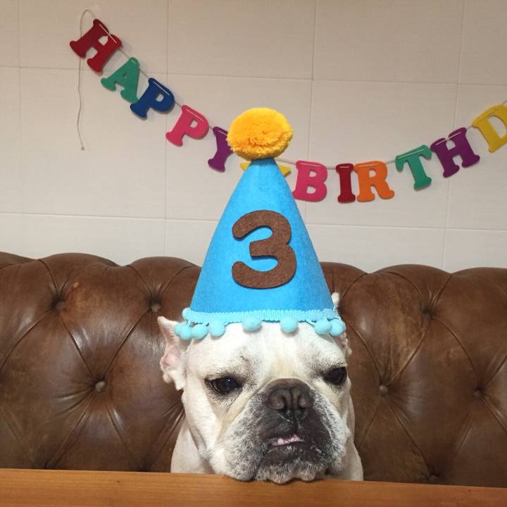 Aaa185d0 ceae 46da b986 e413a5db4142