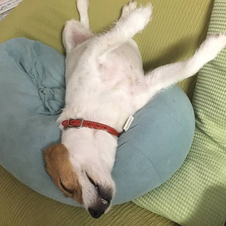 Aaa19c74 8d39 4bb4 ae5c 961f5054086b