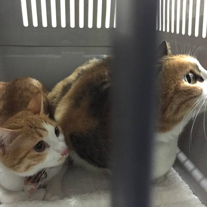 Aaa24a80 ece5 40f7 8015 9d9357be73e7