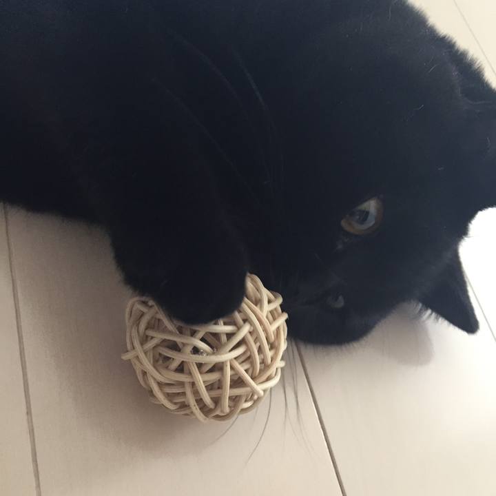 Aaa2915b e2cc 4830 b2a4 058ff375c318