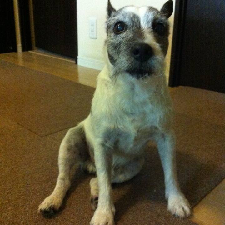 Aaa2ec43 aff3 4c78 a495 9a1b8969c11e