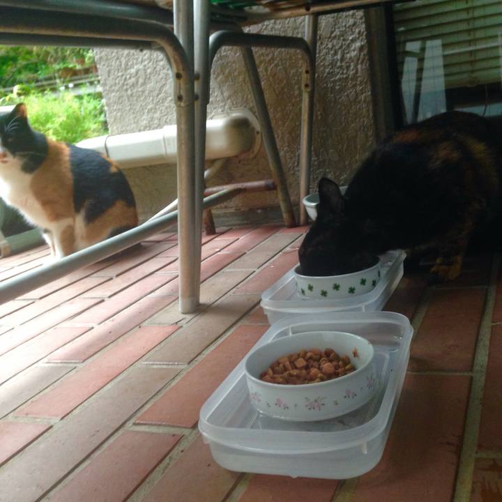 Aaa309f2 d7d8 4007 a7f3 588547c91e9c