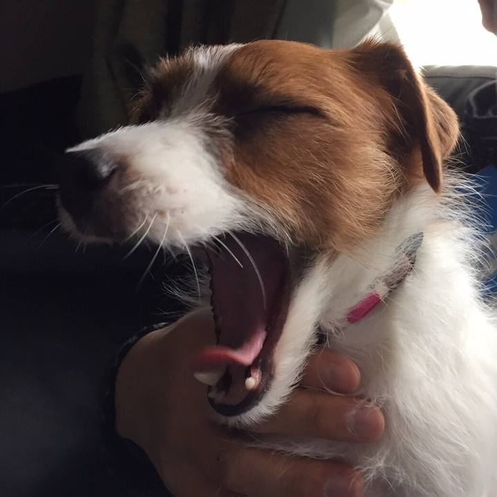 Aaa3e09b ba03 4cb6 81bc 4e1a01337ee8