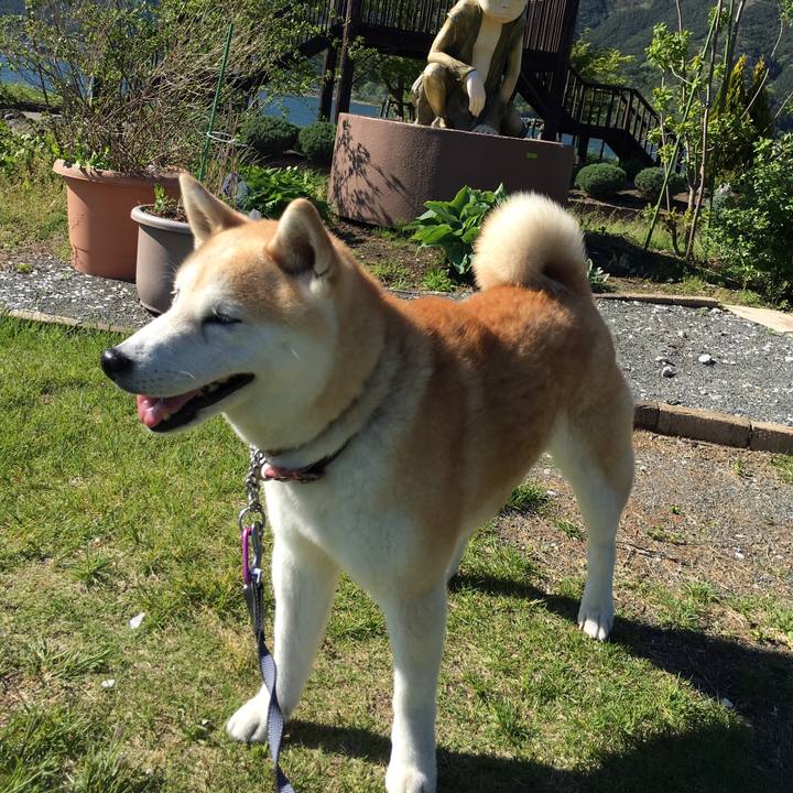 Aaa43178 79be 47f7 a738 14a81f3d0d84