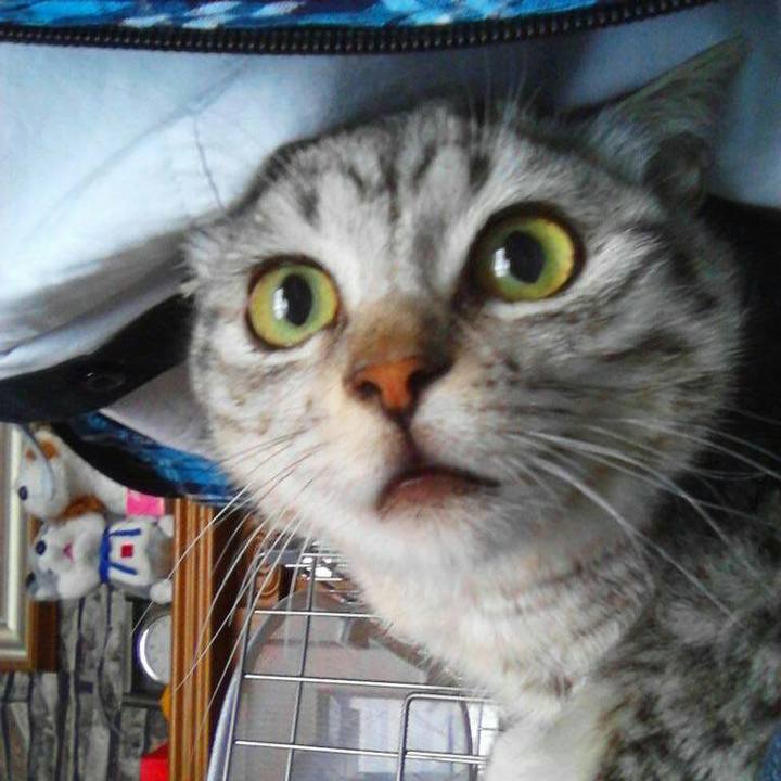 Aaa505cc 3287 4f6a a729 ab2a75dc64e4