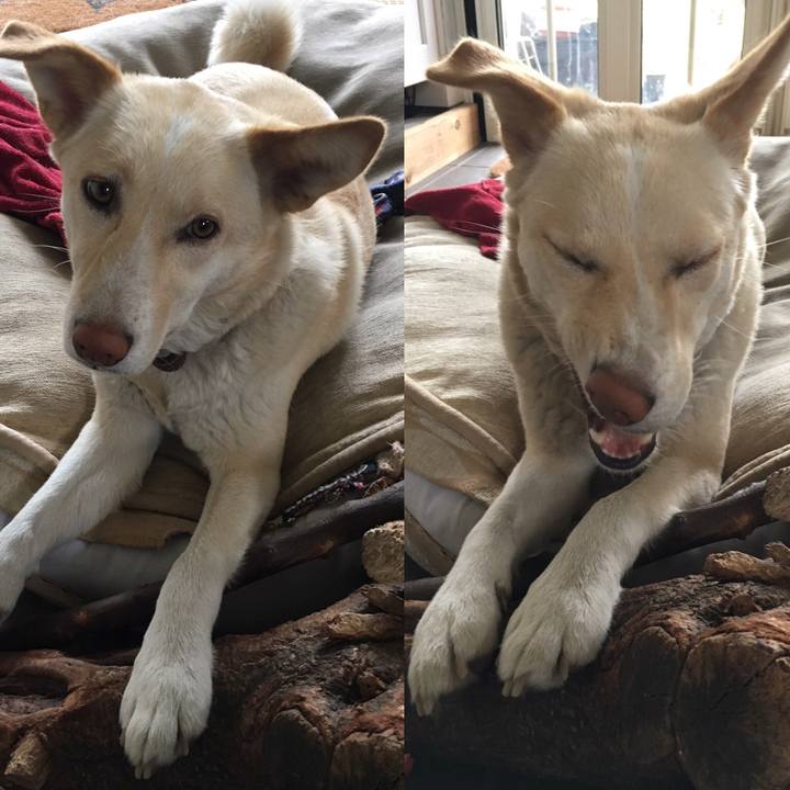 Aaa51923 61ab 4f94 8c49 120ea7aecfd9