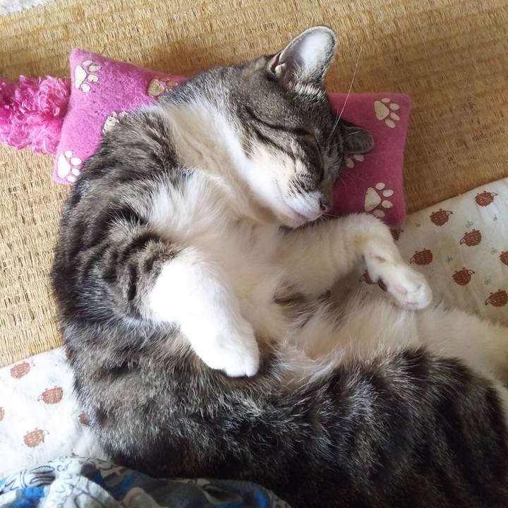 Aaa6bce3 141a 427a a0b2 9527f52f0257