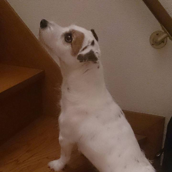 Aaa6ee39 1cb3 4744 aeb9 843a329f776c