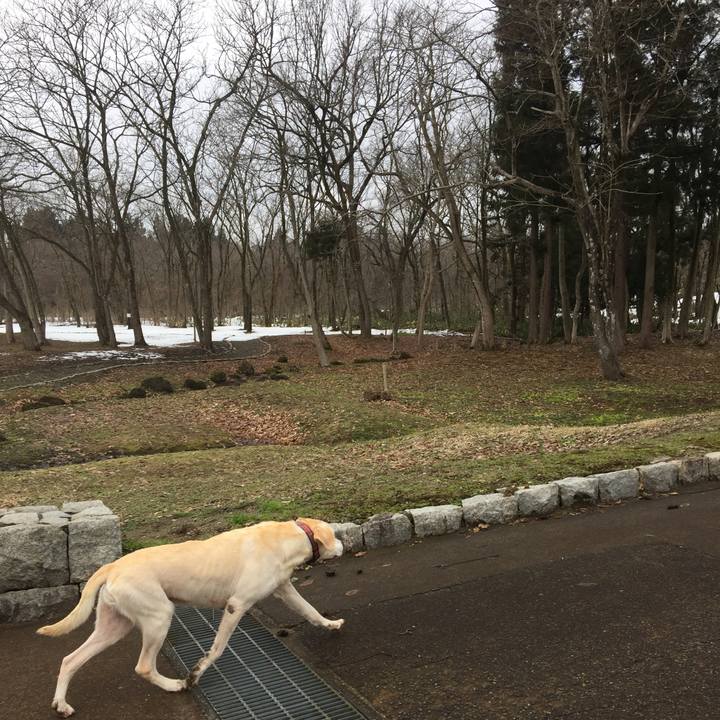 Aaa6f0cd c529 41e0 b266 f3e683f9f0d9