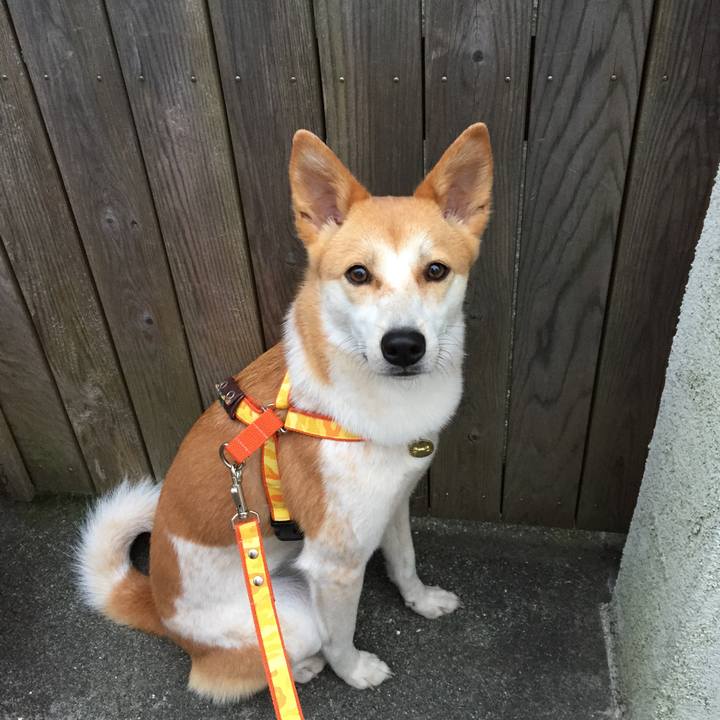 Aaa755b9 5c42 4309 b3fd f5005898335a