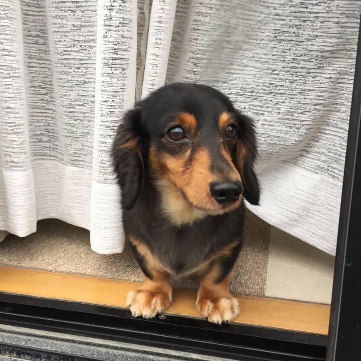 Aaa75ff9 670c 440e 9c9d 97f7079437a0