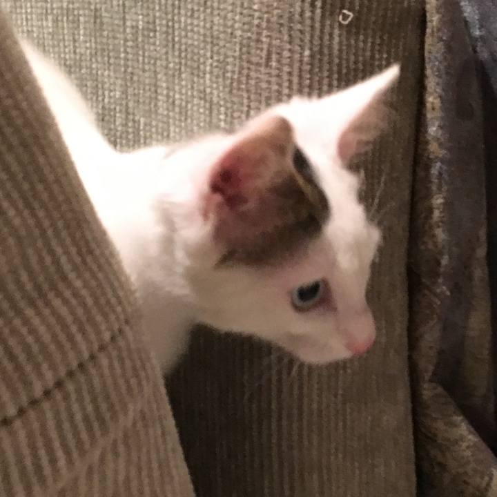 Aaa7fab0 c384 40f1 9daf 4bedacf51927