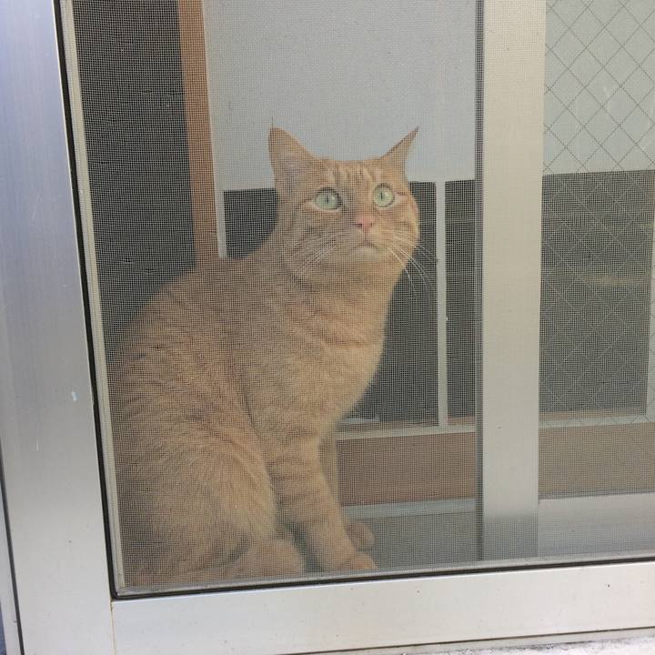 Aaa81a86 f923 4fb3 863a 4c42450b3cba