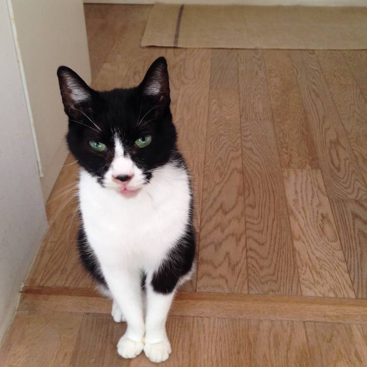 Aaa90915 26f8 4043 a2a2 90a56f5e0d5e