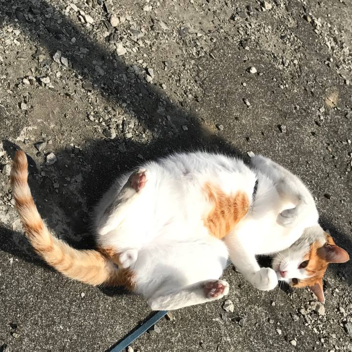 Aaa91d2e ebb7 47d5 ad51 b22a5aabdb79