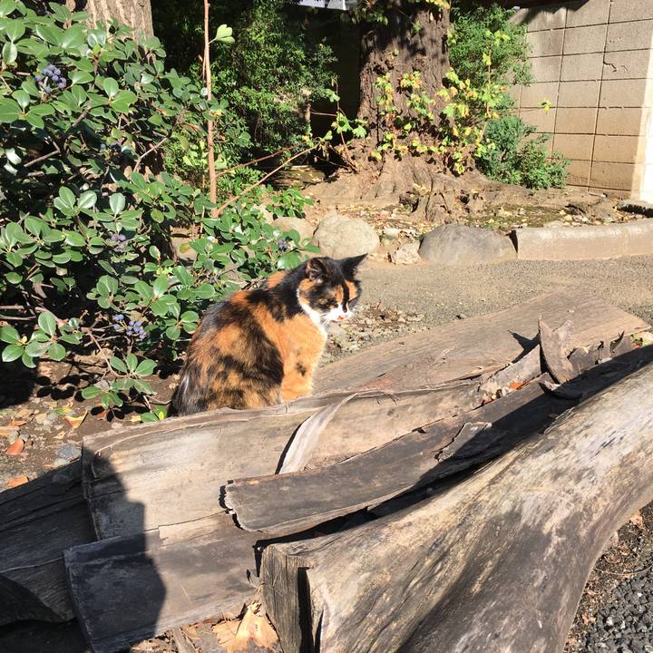 Aaa97e4c 4068 4c6b 9260 26ace0f254da