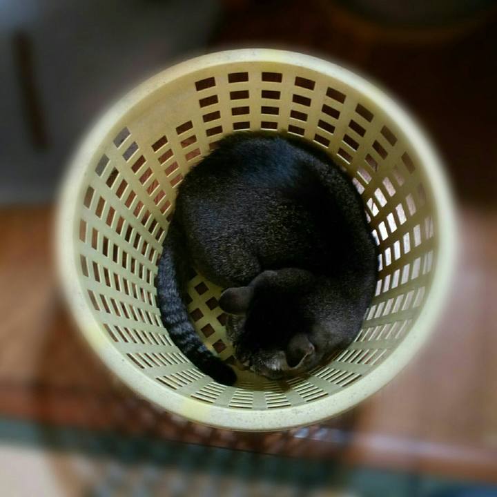 Aaaa1456 dad4 4294 8e6d 8e2b4ad008c7