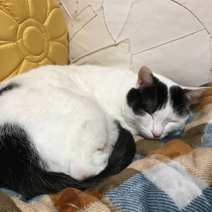 Aaaa69b8 5d2c 4383 8e2e 9855f6e6f686