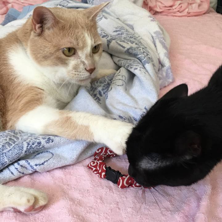 Aaab9b1f aa5a 498b 886b 3b74e97558a3